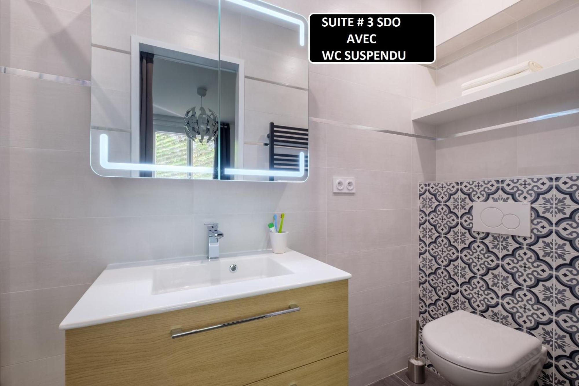 Appart 3 Suites-Chaque Suite Avec Sdo Wc Privatifs - Cuisine Commune Tassin-la-Demi-Lune Εξωτερικό φωτογραφία