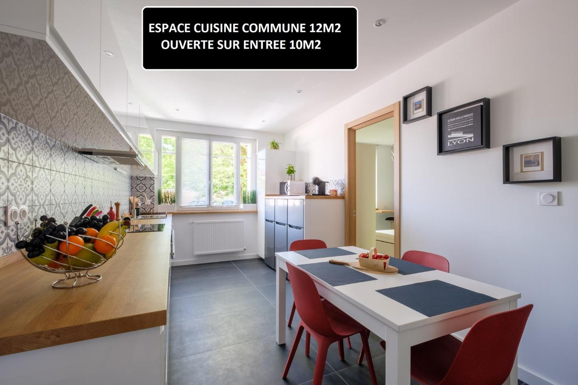 Appart 3 Suites-Chaque Suite Avec Sdo Wc Privatifs - Cuisine Commune Tassin-la-Demi-Lune Εξωτερικό φωτογραφία